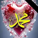 Safiya Salim - @shaikhsafiyasayyed - Instagram