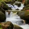 Sagar Anand477 - @sagaranand477 - TikTok
