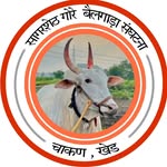 ✨सागरशेठ गोरे & भैरवनाथ  ग्रुप बैलगाडा संघटना चाकण👑 - @sagar_gore_bailgada_sanghatana - Instagram