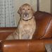Sage Aronson - Facebook