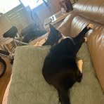 Sage Brown - Facebook