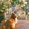 Sage’s Version ♡︎ - @sage.brown.swiftie - TikTok