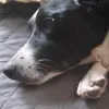 sagehansen08 - @sagehansen08 - TikTok