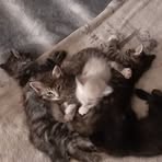 Sage Hatchel - Facebook