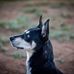 Sage Johnson - Facebook