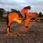 Sage Jones - @sagejones309 - Instagram