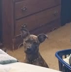 Sage Jones - Facebook