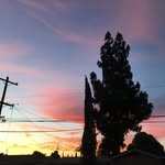Sage Penner - @featured_creations - Instagram