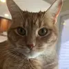 SageSimon - @sage_simon - TikTok