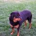 Sage Townsend - Facebook