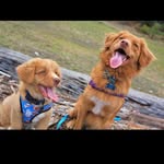 Sage And Wallace - @sageandwallace - Instagram