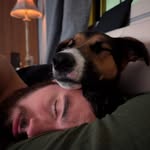 Sage Wallace - @get_tf.away.from_me - Instagram