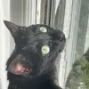 Sage Winter Pepper - @littlesagearoo - TikTok
