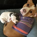 Sage&Winter - @sage_and_winter - Instagram