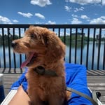 Juniper Sage-Wolfe-Predon - @juniper_pooniper - Instagram
