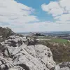 Mowgli - @sage_wolfe - TikTok
