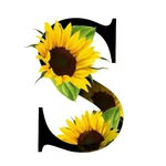 Sagheer malik - @sagheermaliksagheermalik43 - Instagram