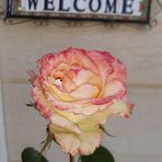 Sahar Sleiman - Facebook