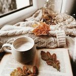 Sahar Salem - @saher.salem.9469 - Instagram