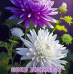 Sahra Adan - Facebook