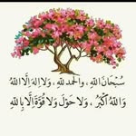 Sahra Adan - @sahra.adan.3760 - Instagram