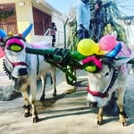 Pavansai Basireddy - @pavansai.basireddy - Instagram