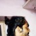 Sai Burra - Facebook