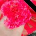 Sai Joshi - Facebook