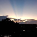 Sai Kandula - @saikandula1122 - Instagram
