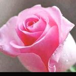 Bujji Chowdary - @lavu_sai - Instagram