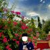 Sai Liang - Facebook
