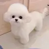 Sai Liang - @liangunl360 - TikTok