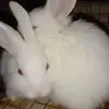 Sai Manoj - @saimanoj032 - TikTok