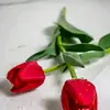 saidadem - @saidadem11 - TikTok