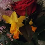 Said Elmiloudi - @said.elmiloudi.35 - Instagram