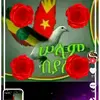 አደኛየነሽ፣አደኛየ - @saidelmi21 - TikTok