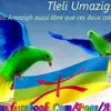 SAID MOURI - @saidmouri - TikTok