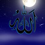 Said Taha - @said.taha.50951 - Instagram