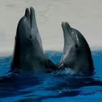 Saidtaha DelfinTravel - @saidtahadelfintravel - Instagram