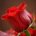 Saida Hussein - Facebook
