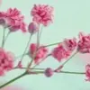 saidahussein281 - @saidahussein281 - TikTok