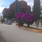 Saida Ruiz Martinez - Facebook