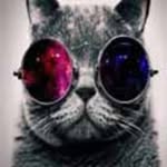 msksao - @saif.madarchod12345 - Instagram