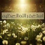 Saif Shawkat - @the_truth_of_human - Instagram