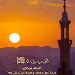 Saif Shawkat - Facebook
