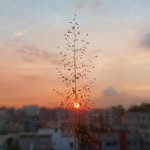 Saifuddin Mahmud - @saifuddinmahmud96 - Instagram