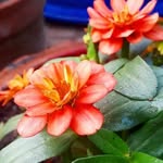 Saifuddin Mahmud Tuhin - @saiduddinmahmud - Instagram
