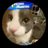 Sigge Lantz - @sigge.lantz - TikTok