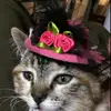 Hissss - @sage_mccabe - TikTok