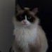 Saige McCabe - Facebook